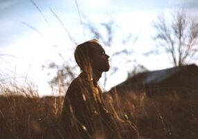 pexels-spencer-selover-775417 (1)