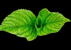 pexels-yigithan-bal-765062 3